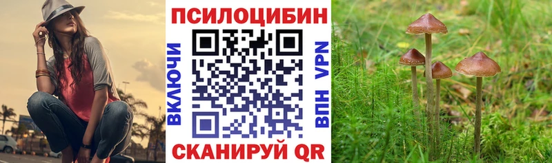Псилоцибиновые грибы GOLDEN TEACHER  Купить где  Видное 