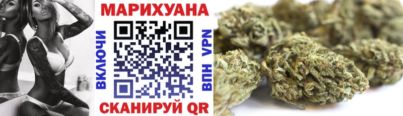 Конопля Bruce Banner  Купить где  Видное 